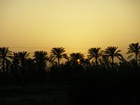 egypt